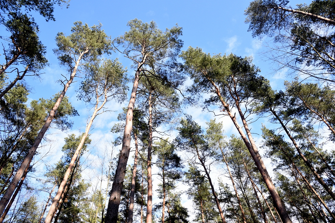 Gaisa telpas trauksme Latgalē atcelta: NBS apstiprina apdraudējuma beigas un dronu monitoringu