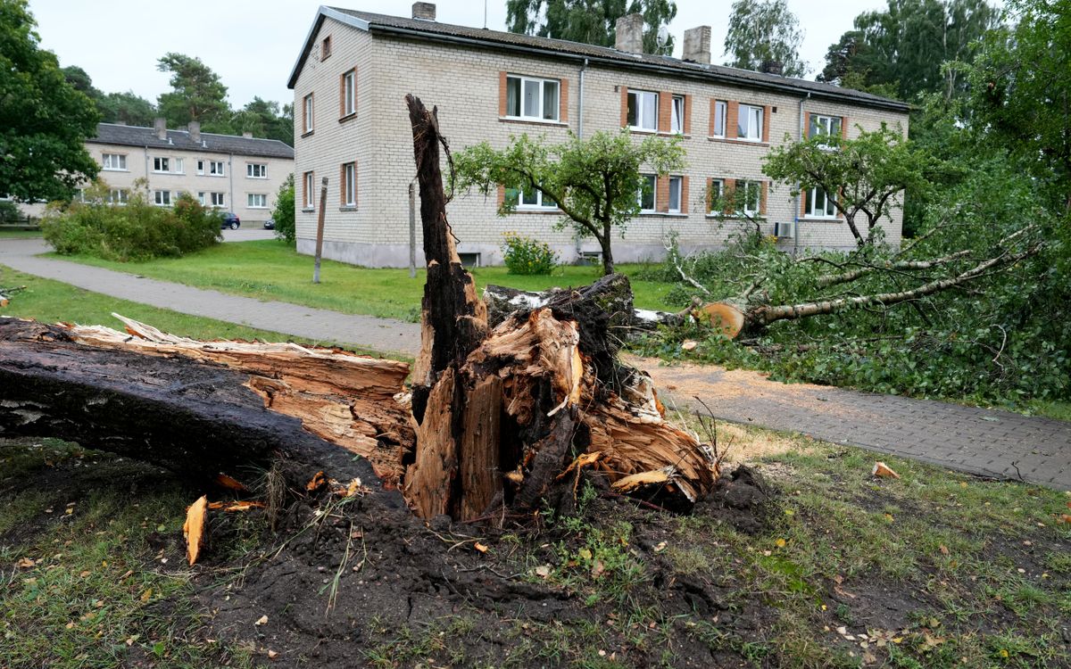 Apdrošinātāji rezervējuši 8,05 miljonus eiro vētras atlīdzībām