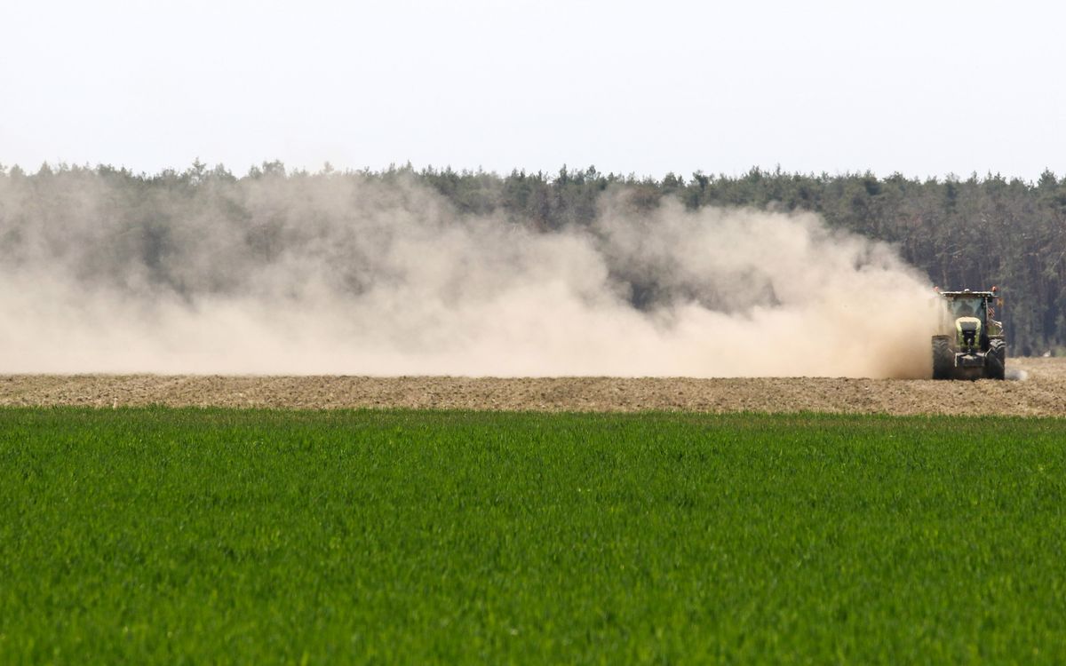 Kuldīgas novads lūdz valdību izsludināt ārkārtējo situāciju lauksaimniecībā