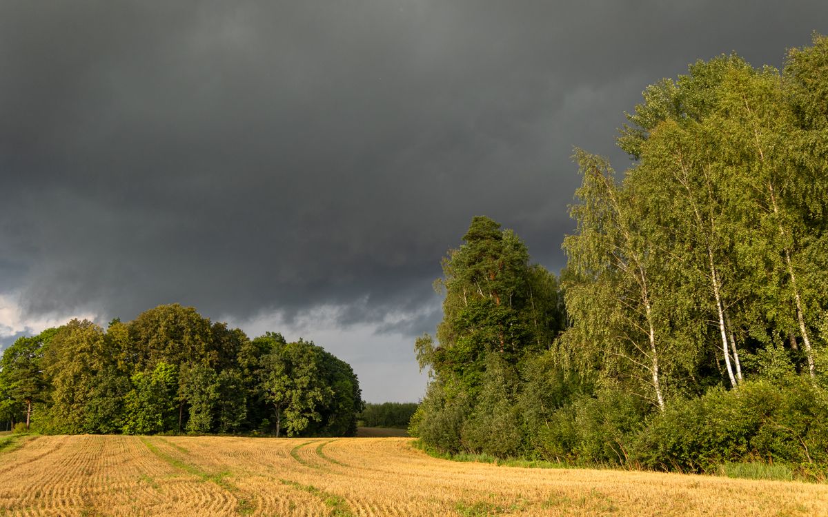 Trešdien Zemgalē gaiss sasils līdz +27 grādiem, iespējams negaiss